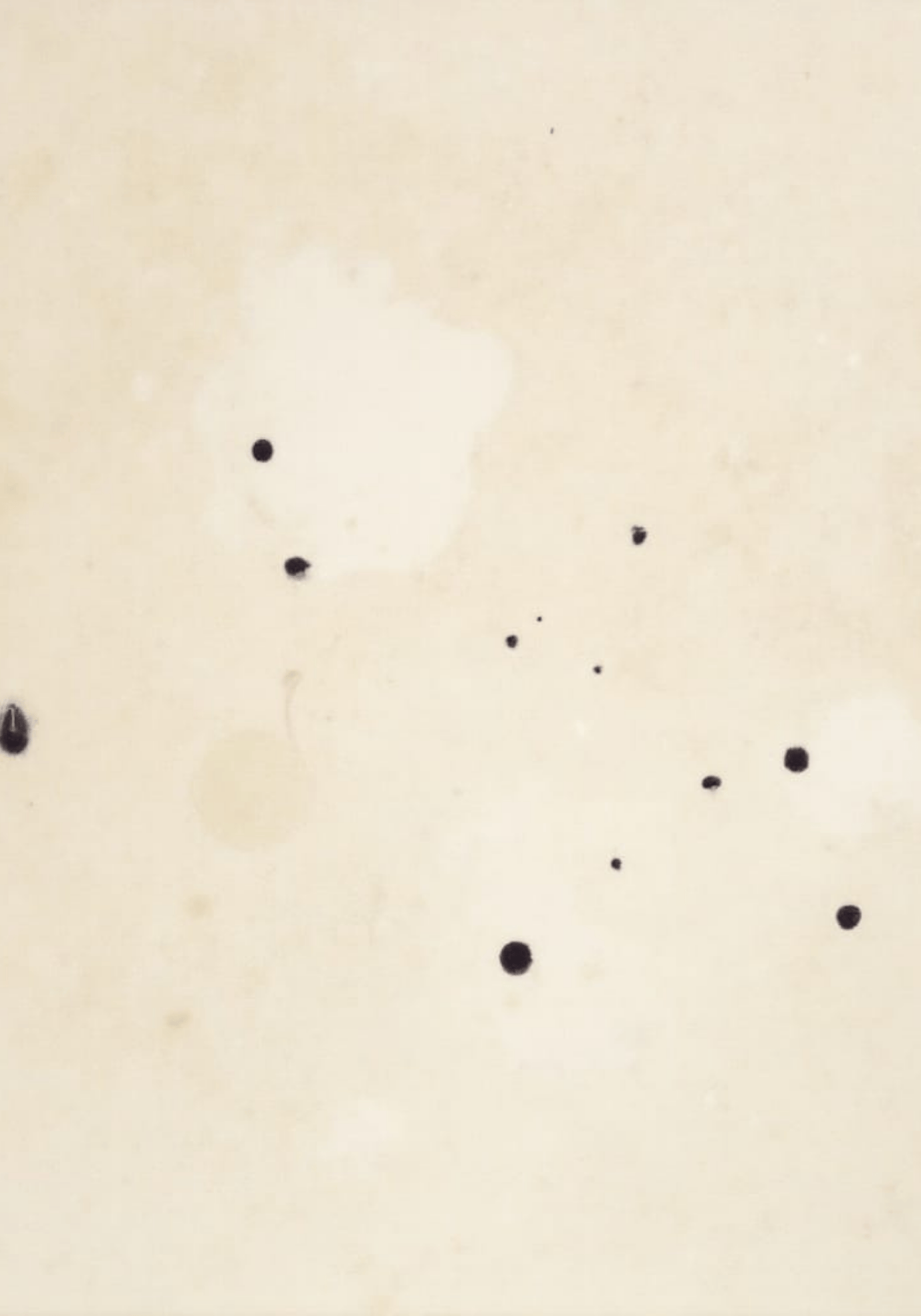 Abstract Beige No.2 Poster
