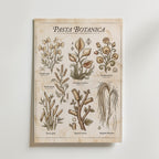 Pasta Botanica Poster – canvas utan passepartout