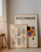 Pasta Botanica Poster – två posters i rum 3