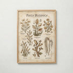 Pasta Botanica Poster – ekram