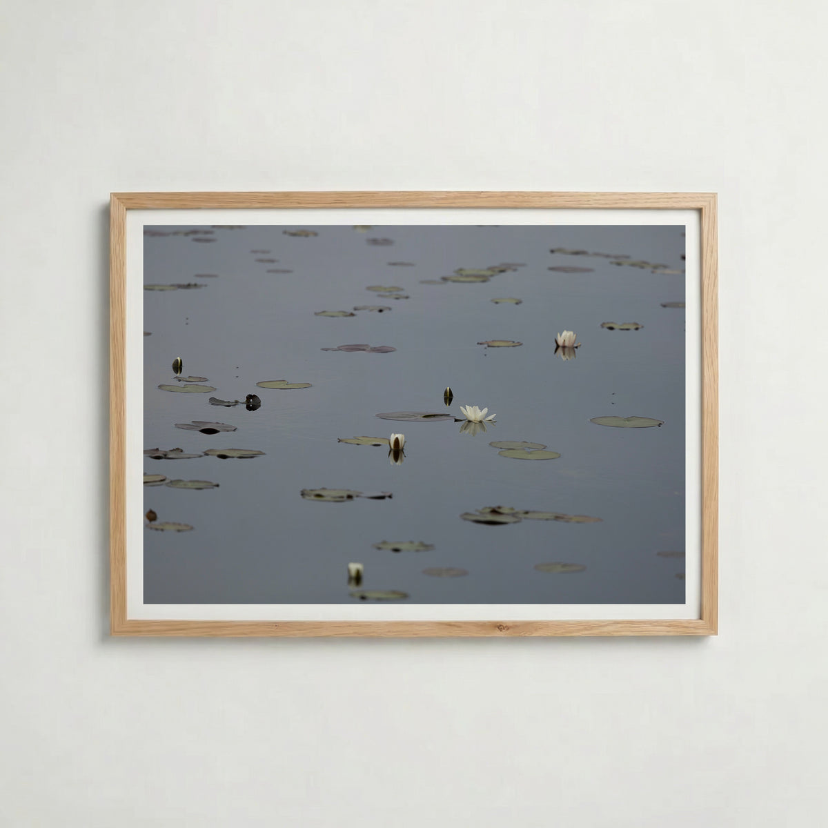 Water Lilies at Maderna i ekram med ljust trä – köp enkelt hos Bozetto affisch i hög kvalitet