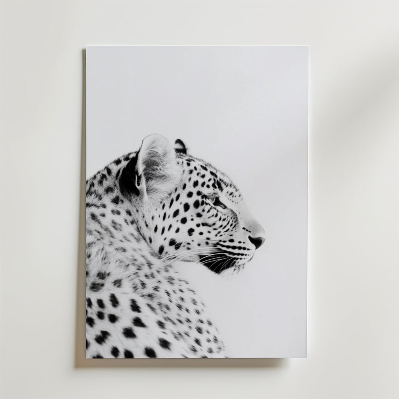 Black and White Leopard Poster
