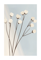 Minimalist cotton flower – köp enkelt hos Bozetto konsttryck i hög kvalitet i hög kvalitet