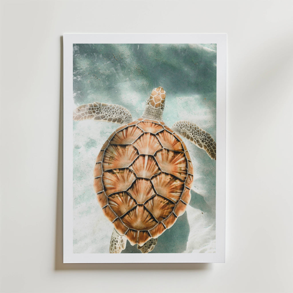 Ocean Turtle Escape – stilfullt konsttryck från Bozetto, tryckt på matt finpapper