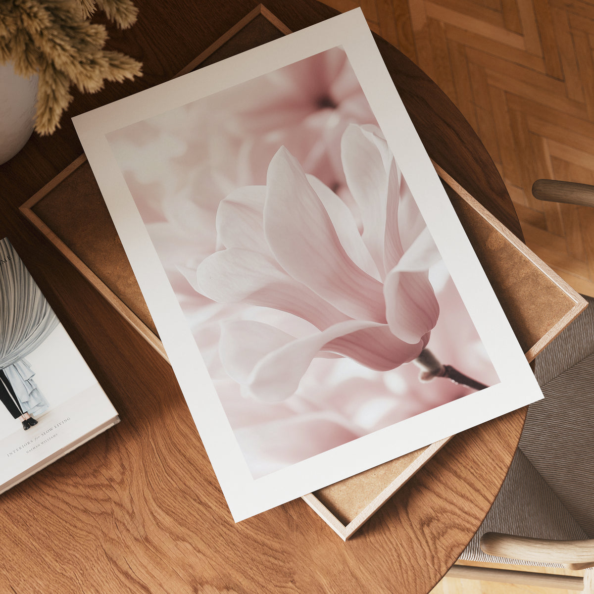 Blush Rose Magnolia Flower poster visad rakt fram – Bozetto affisch i hög tryckkvalitet