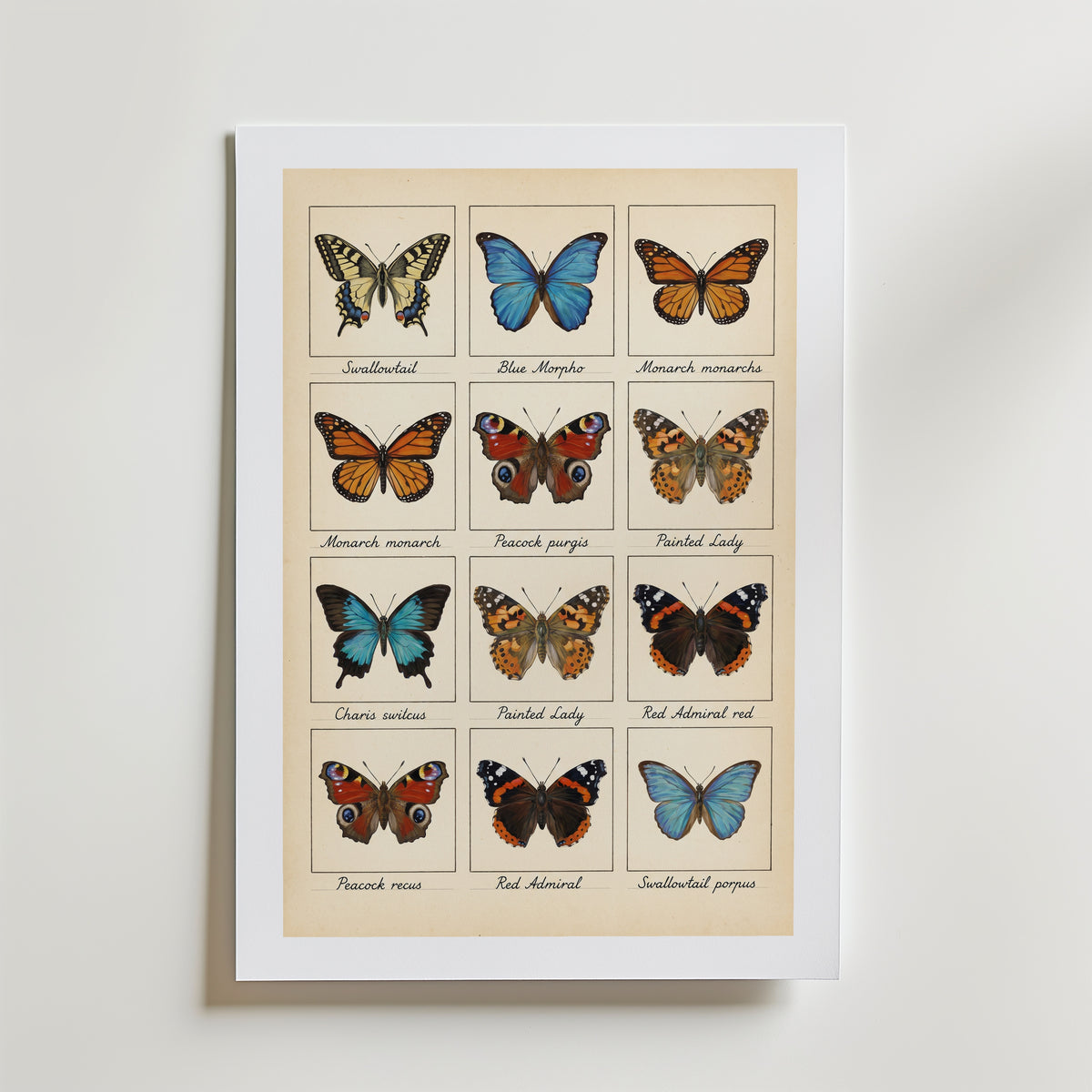 Butterfly Grid Poster – med passepartout