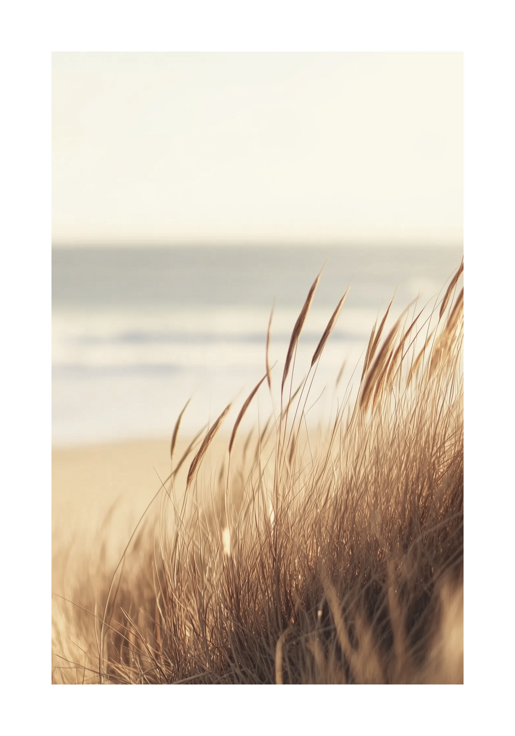 Dune Grass by the Sea Poster – modern konst och stilren konsttryck för hemmet hos Bozetto