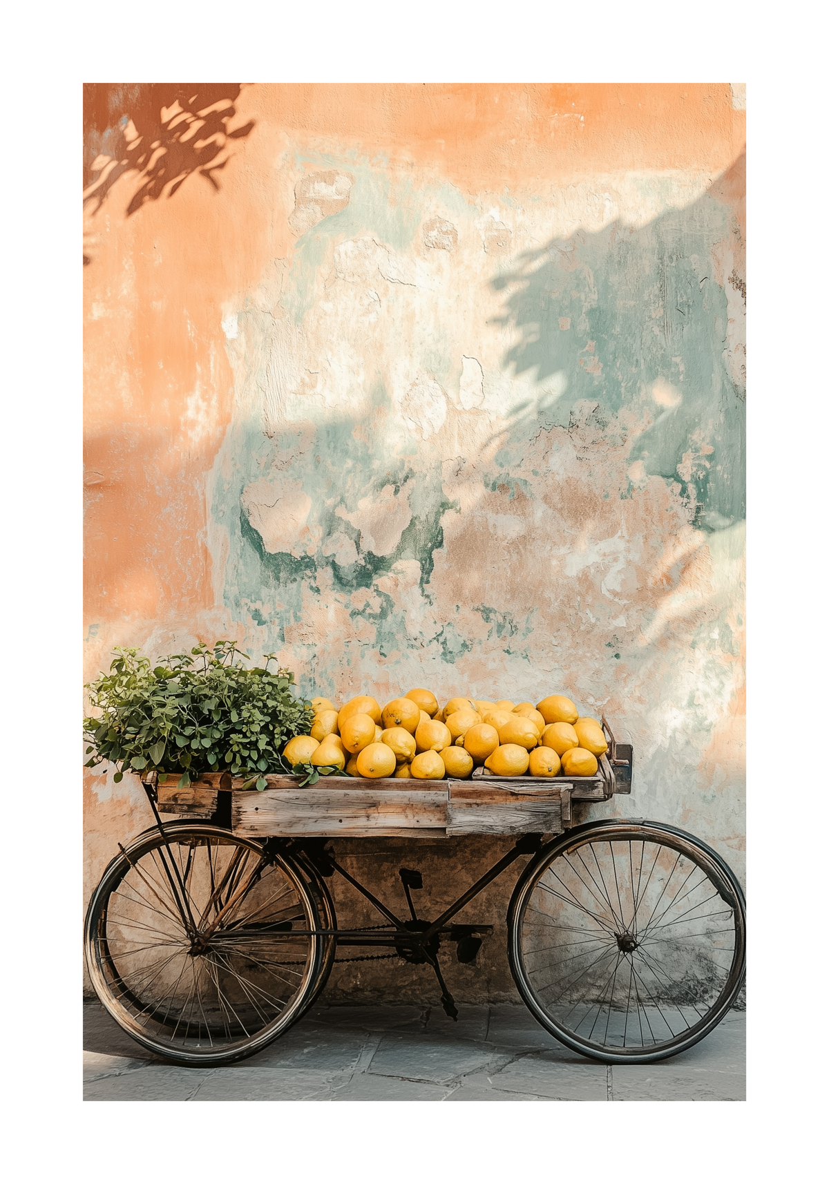 Wheels & Citrus – affisch med snyggt motiv, köp enkelt hos Bozetto i flera storlekar