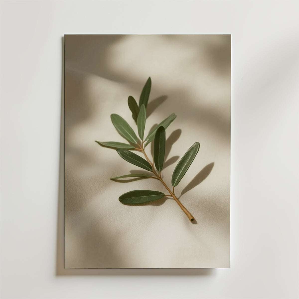 Olive branch decor stem – stilfullt konsttryck från Bozetto, tryckt på matt finpapper