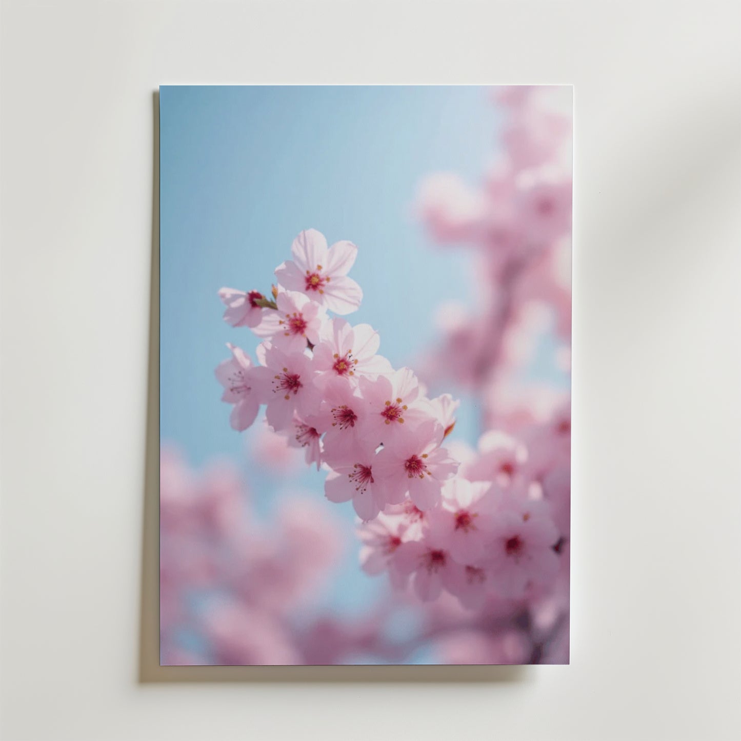 Cherry blossom pastel poster