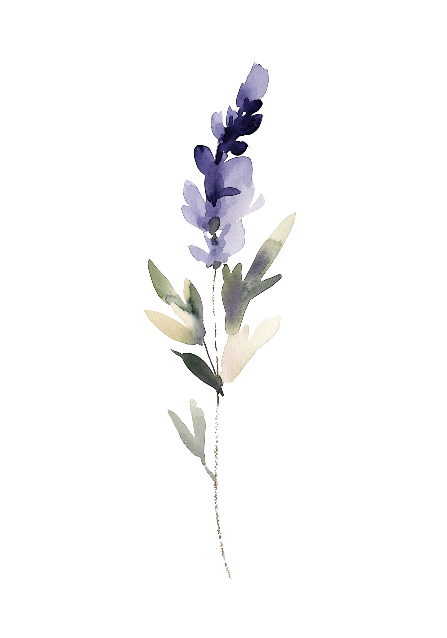 Watercolor lavender Poster