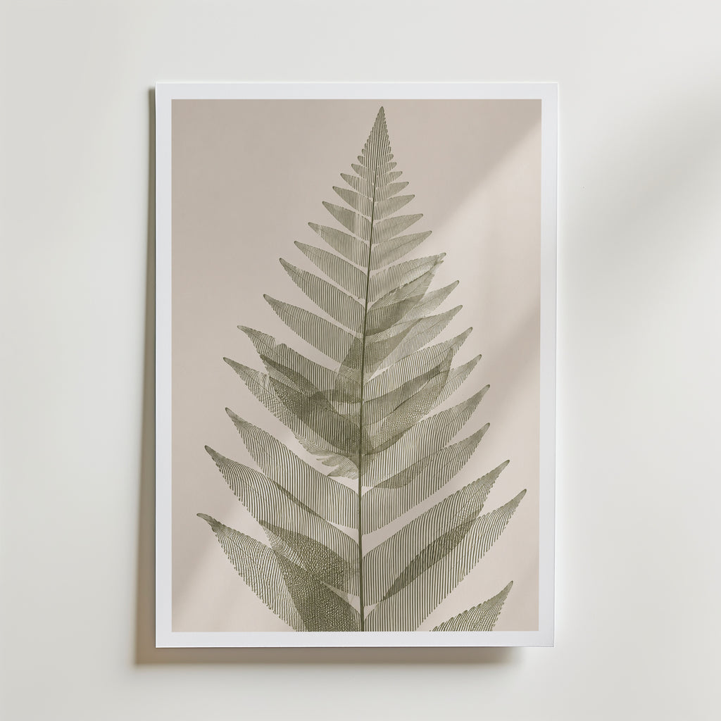Pressed Fern affisch inramad i neutral ram – se hur konsttrycket ser ut, Bozetto