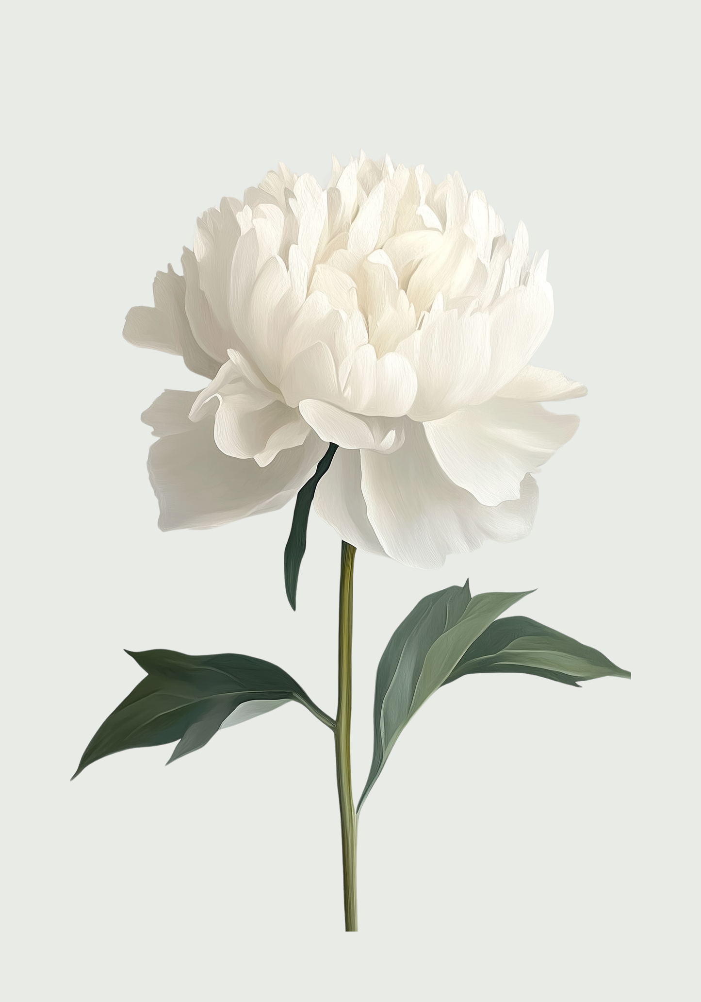 White peony Poster