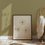 Quiet Dandelion Trio affisch i minimalistiskt sovrum – köp enkelt hos Bozetto i hög kvalitet