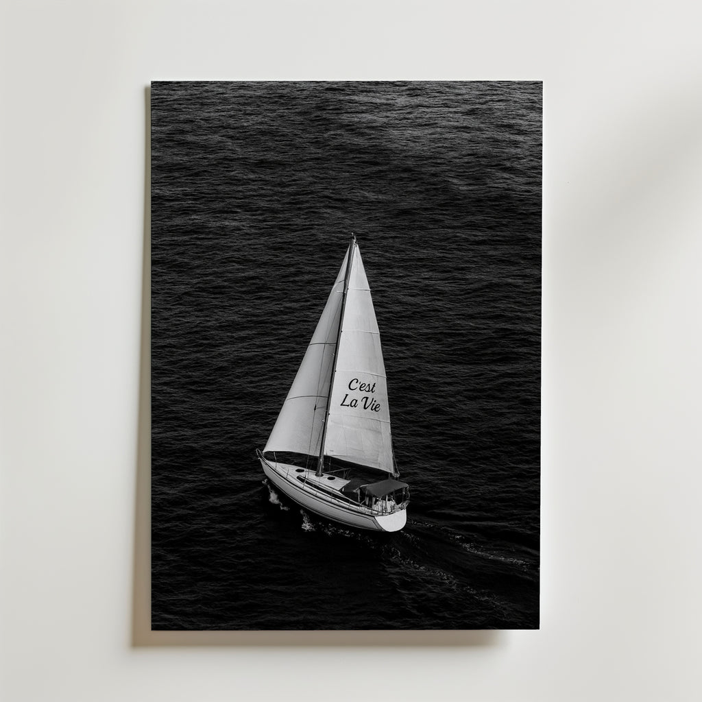 C'est La Vie Poster – canvas utan passepartout