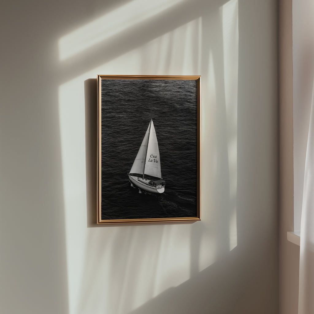C'est La Vie Poster – i rum 1