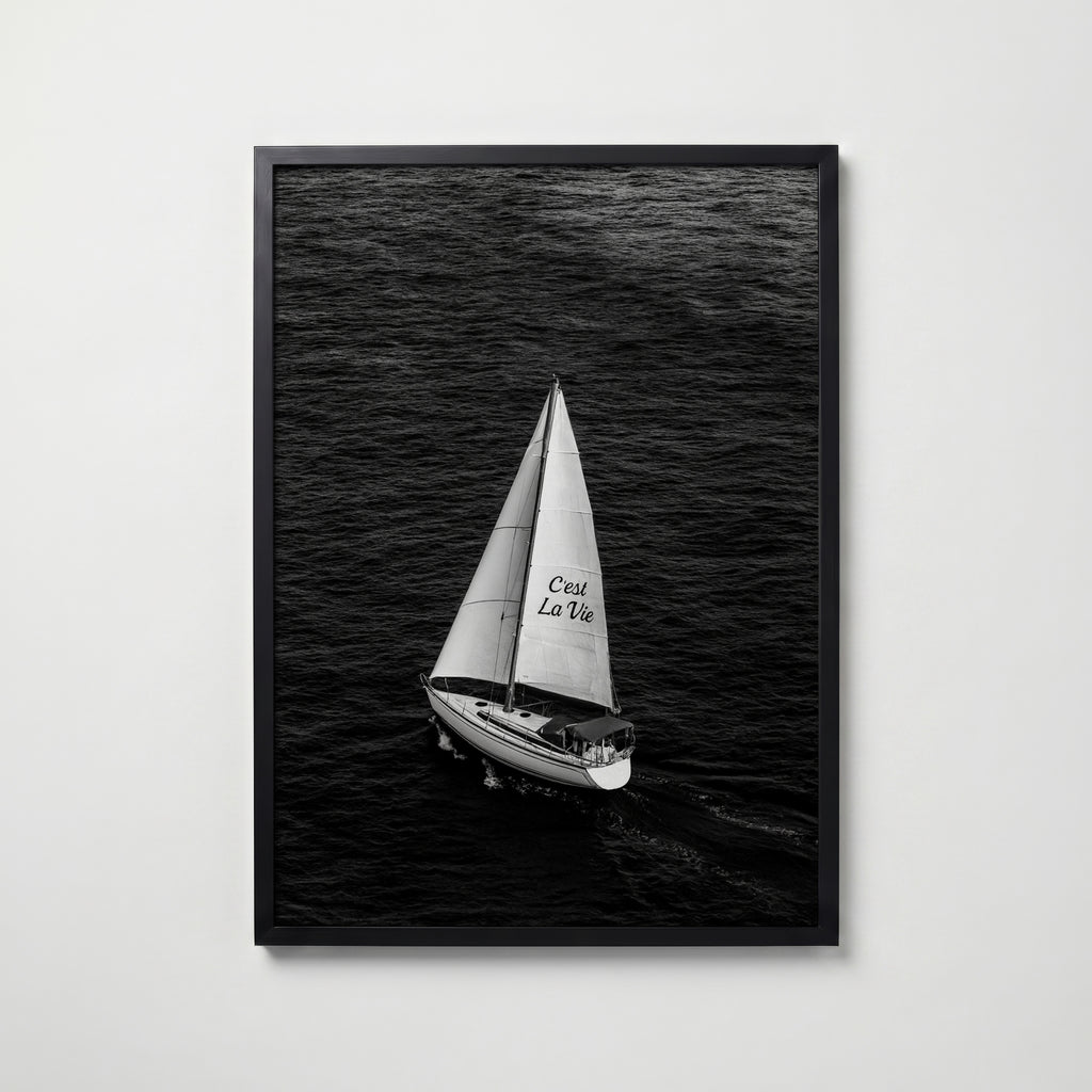 C'est La Vie Poster – svart ram