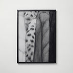 Soft Pelt Layers Poster – svart ram