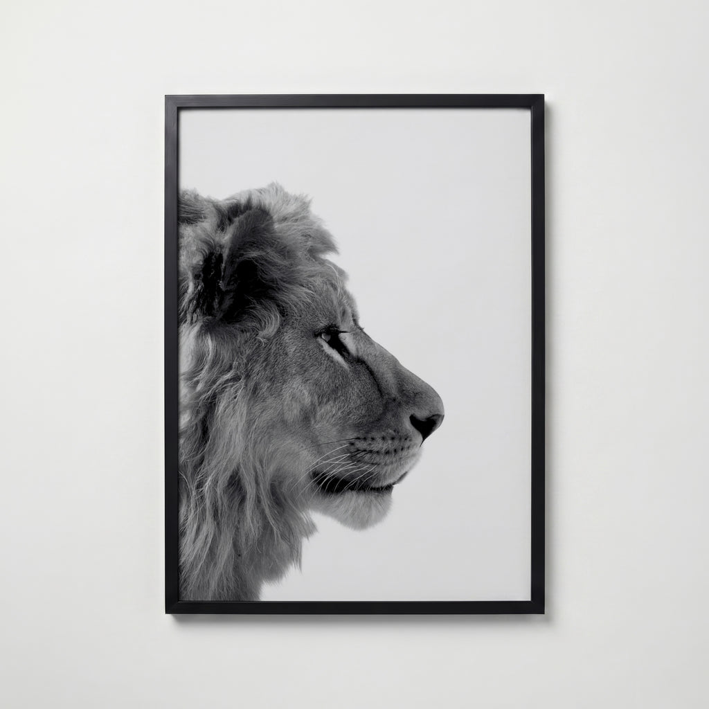 Lion In Profile Poster – svart ram