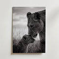 Lioness and Cub Poster – canvas utan passepartout