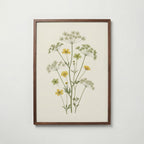 Meadow Buttercup Poster i vardagsrumsmiljö