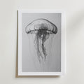 Drifting Jellyfish Sketch Poster – med passepartout