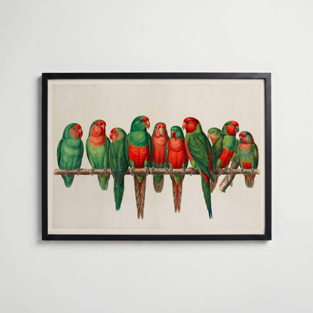 Scarlet Flock Poster med svart ram