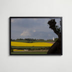 Skåne Covered in Yellow Poster i vardagsrumsmiljö
