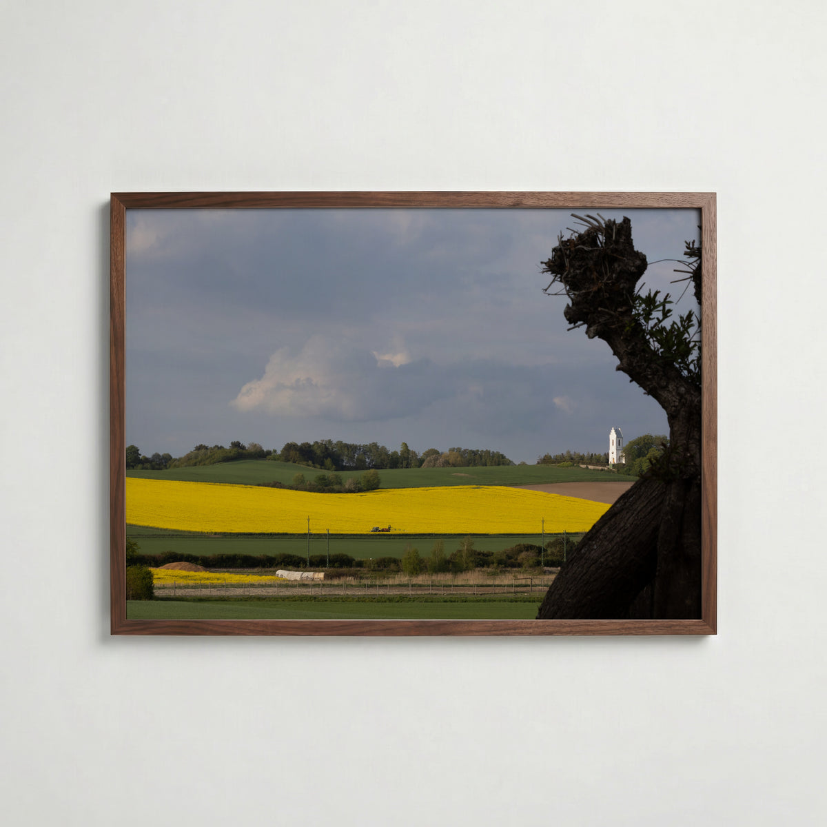 Skåne Covered in Yellow Poster i inredningsmiljö