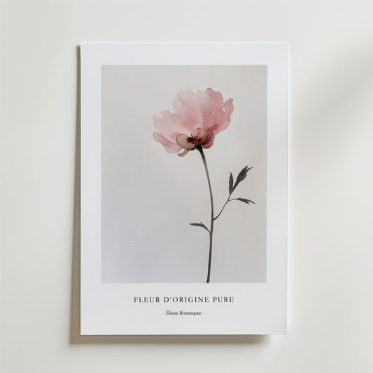 Fleur D´origine Pure Poster