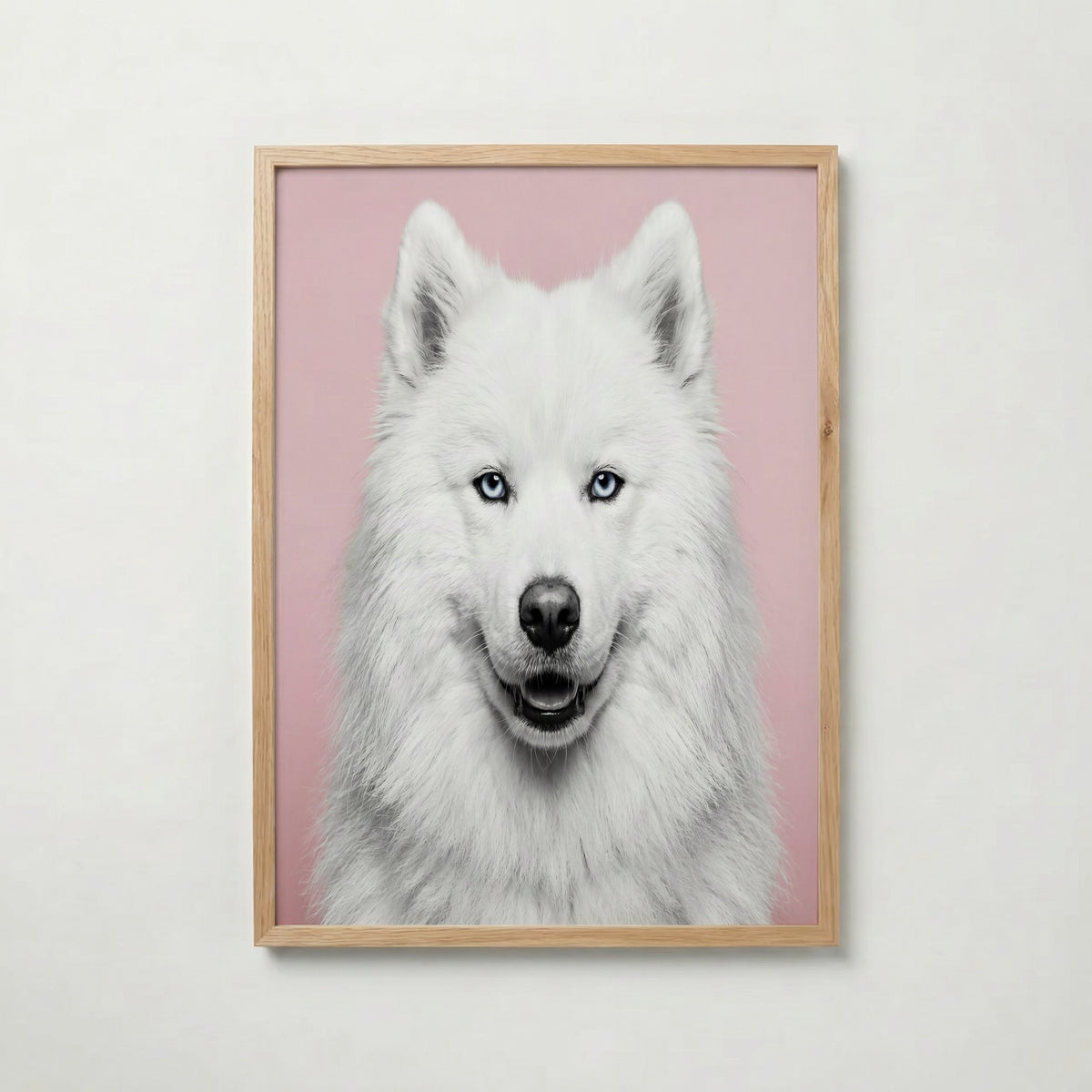 Velvet Paw Poster med ekram