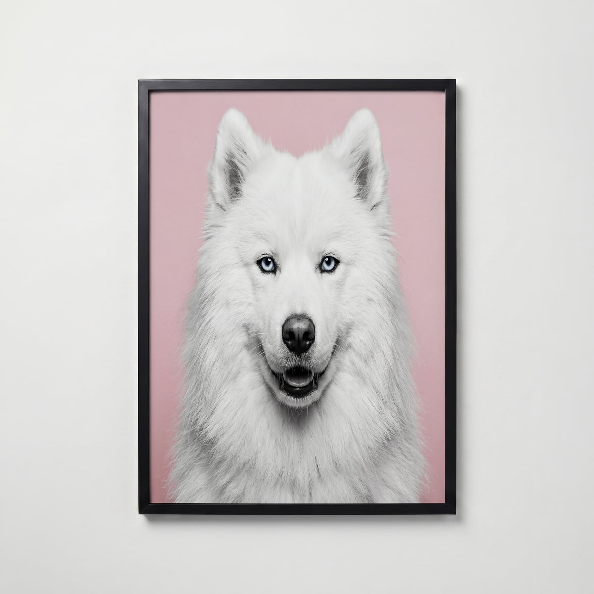 Velvet Paw Poster i hemiljö