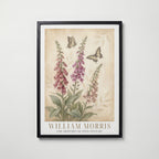 William Morris Foxgloves and Swallowtails Poster – svart ram