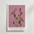 William Morris Goldfinches on Thistles Poster – med passepartout