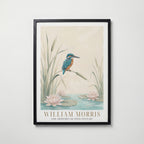 William Morris Kingfisher by the Lily Pond Poster – svart ram
