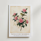 William Morris White-Eye and Camellias Poster – med passepartout