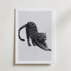 Stretching Leopard Poster – med passepartout